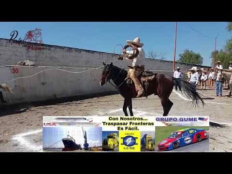 2° PIALADERO ABIERTO Sr  DON PABLO CERÓN CALVA PROGRESO HGO 17/ 11/ 2017