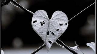 Stephanie Mcintosh The night of my life (with lyrics) po polsku