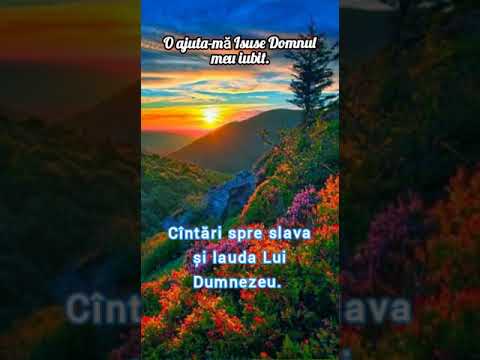 Frații: Gabi Bărăian & Augustin Roman.