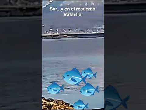 Rumbo: Sur y con Rafaella. #ytshorts #paisajesextremos #traveling #retro