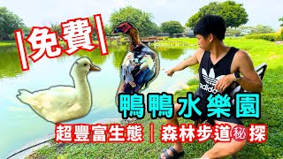 【彰化秘境】超大公園免費玩！超親人鴨鴨軍團&烏龜搶食實錄｜森林步道避暑去｜開園時間&停車攻略