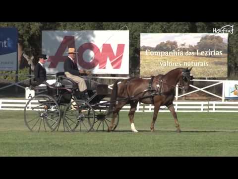 Wilbrord van den Broek-Frans Hellegers Dressage World Championships 2012 Lezirias