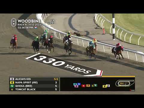 Woodbine, Tbred, November 12, 2023 Race 4