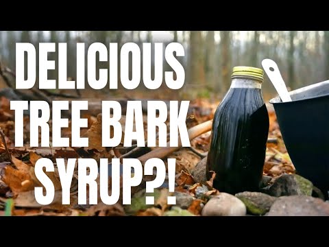 Foraging Hickory Bark to Make Syrup | Wild Kitchen Episode 7 | Flambe!