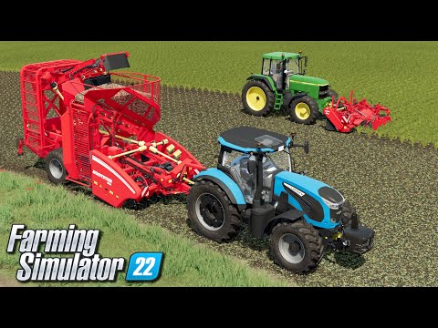 Wykopki buraków - Farming Simulator 22 | #24