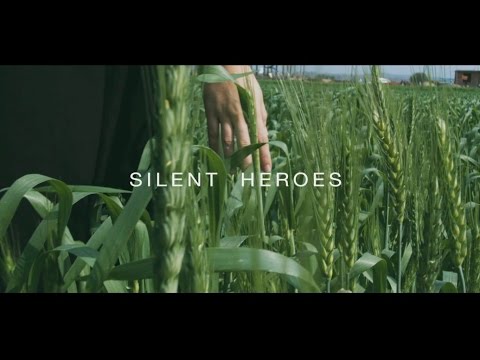 Brave the Elements:  Celebrating the Silent Heroes