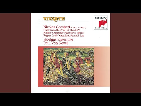 In te domine speravi - Motet for Six Voices