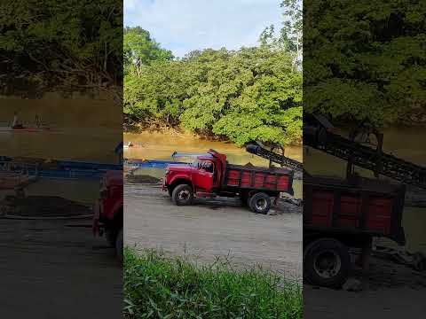 ✅Vereda Puerto Tolima en el Municipio de San José del Guaviare. #Guaviaresinfiltros #guaviare