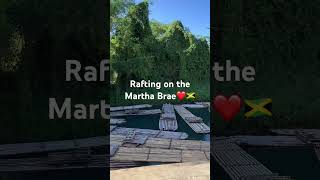 Rafting on the Martha Brae. Cool vibes.   マーサブレア川での筏下り。ジャマイカナイス #jamaica #bamboorafting #ジャマイカ #筏下り