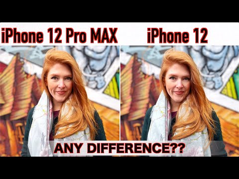 iPhone 12 Pro Max VS iPhone 12 Camera Comparison - Did Apple LIE to us?