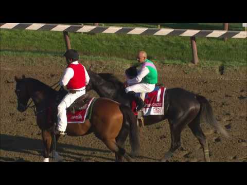 Arrogate wins the Travers Stakes