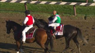Arrogate wins the Travers Stakes