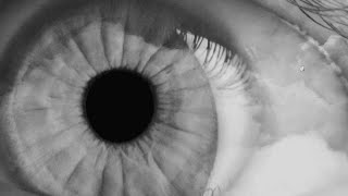 The Boxer Rebellion &amp; Tinlicker - Diamonds (Further Than I Ever Was) (Official Video)