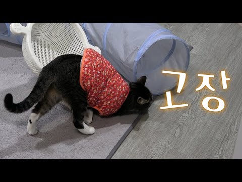 몸이 말을 듣지 않아...