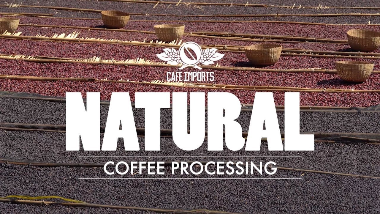 Natural coffee processing