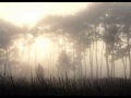 LOREENA MCKENNITT   Ancient Pines