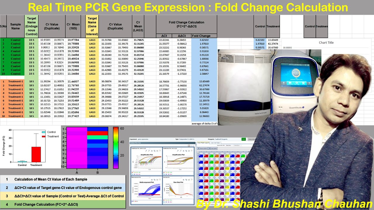 How to Analyze Real time PCR Data? | Real Time PCR Gene Expression Fold Change Calculation