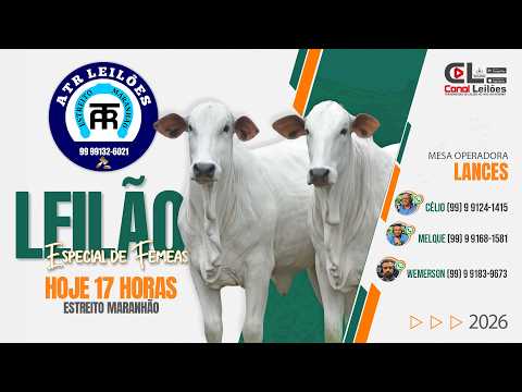 LEILÃO ESPECIAL DE FÊMEAS ATR LEILÕES | ESTREITO-MA 15/09/2026