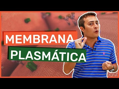 Membrana Plasmática | Célula | Prof. Paulo Jubilut