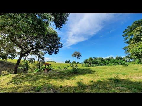 Se vende terreno canton veracruz san juan Talpa departamento de la paz 