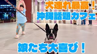 【沖縄カフェ】犬連れOK！ 那覇新都心公園のコナズ珈琲に行ってみたら最高すぎた…