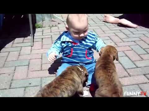 Puppies and Kittens Love Babies Compilation