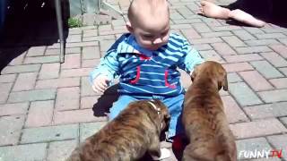 Puppies and Kittens Love Babies Compilation