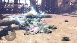 [MHW IB] 闘技大会ジンオウガ 練習
