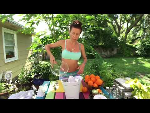 download lagu mp3 mp4 Orange Kombucha, download lagu Orange Kombucha gratis, unduh video klip Orange Kombucha