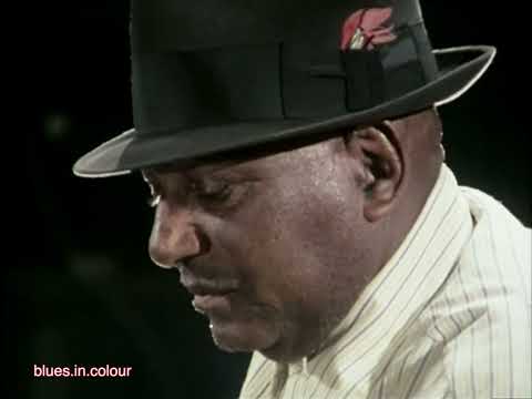 Thumbnail for Houston Stackhouse (with Joe Willie Wilkins) - 'I Asked Her for Water' live 1976 by Joe Willie Wilkins