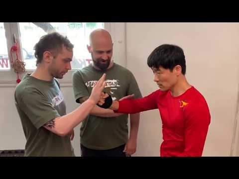 Wing Chun punching technique