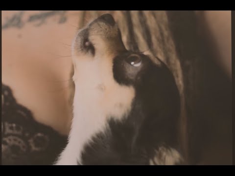 Mundo Divino - Aire (Videoclip)