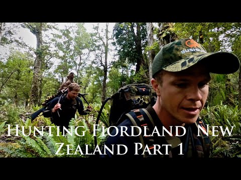 Hunting Fiordland NZ for Red Deer and Paua diving. Remote untouched wilderness (PART 1)