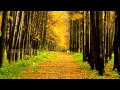 FREDERIC DELARUE - Eyes Of Your Heart ...
