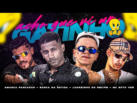 ACHO QUE VI UM GATINHO - BARCA NA BATIDA E AMARCA PANCADÃO E LUANZINHO DO RECIFE E MC GUTO VGS