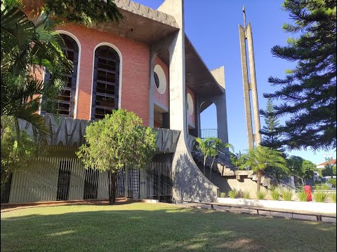 Santa Missa - 15º Domingo do Tempo Comum - Ano C