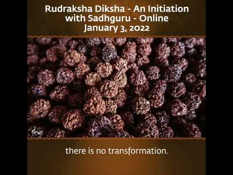 Rudraksha Diksha