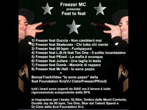 Non cambierò mai - Freezer feat Goccia.