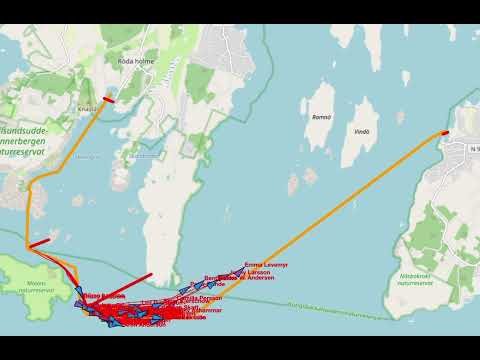 Webtracking replay QK2021