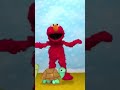 Sesame Street Learn Everything About TURTLES With Elmo Part 5 Sesamestreet Kids Learning