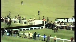 Midnight Court- The 1978 Cheltenham Gold Cup