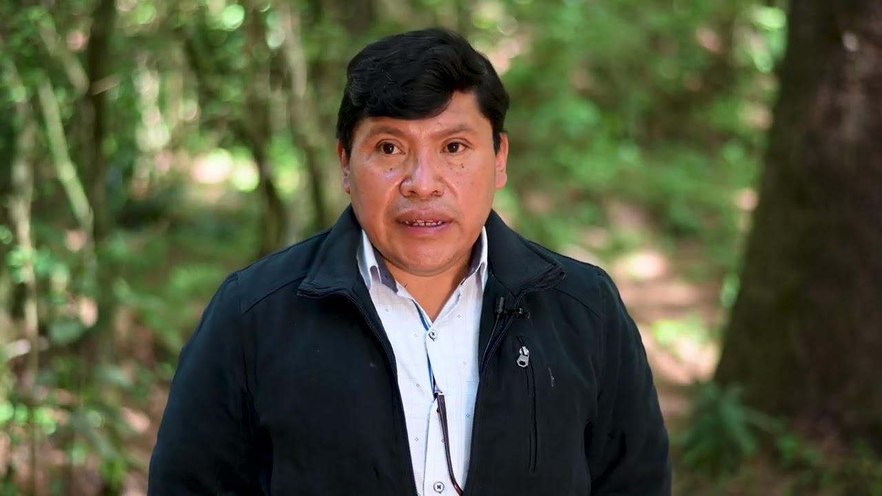 Se organizan para cuidar sus bosques