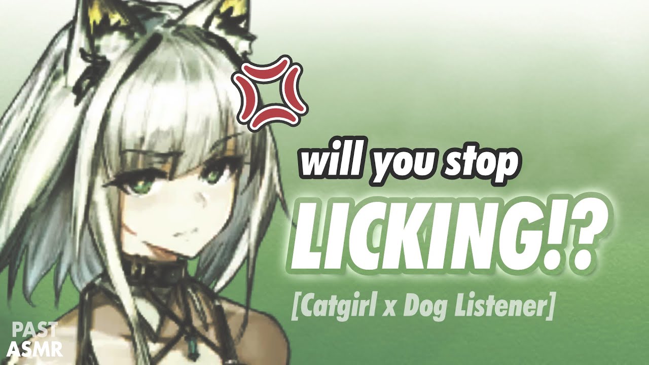 ASMR😾You're a Puppy boy and Your New Roommate is the Grumpy Catgirl [F4M]