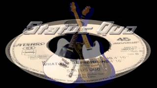 Status Quo - What You'Re Proposing. - Vinyl 1980
