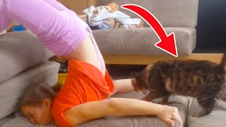 SHE LANDED ON THE CAT! | FUNNY VINES