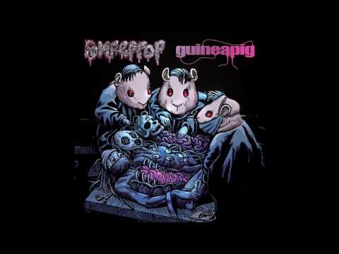 Rompeprop / Guineapig - split 12