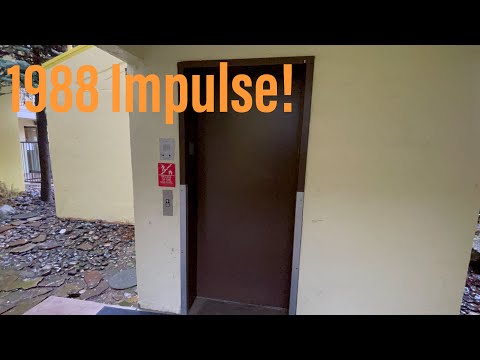 1988 Dover Hydraulic Elevator - Morning Glory Inn & Suites - Bellingham, Washington