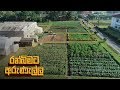 ranbimata-aunella-03-02-2019