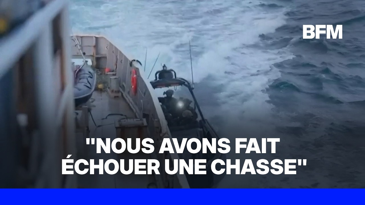Islande: un navire de la Fondation Watson arraisonné lors d'une action contre la chasse à la baleine