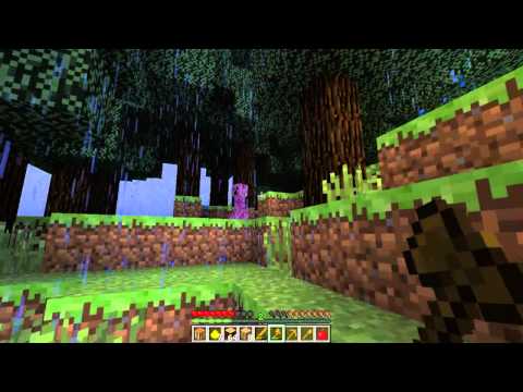 Minecraft: Quad Mountain Survival w/Axis2821 EP.2(New beginning)